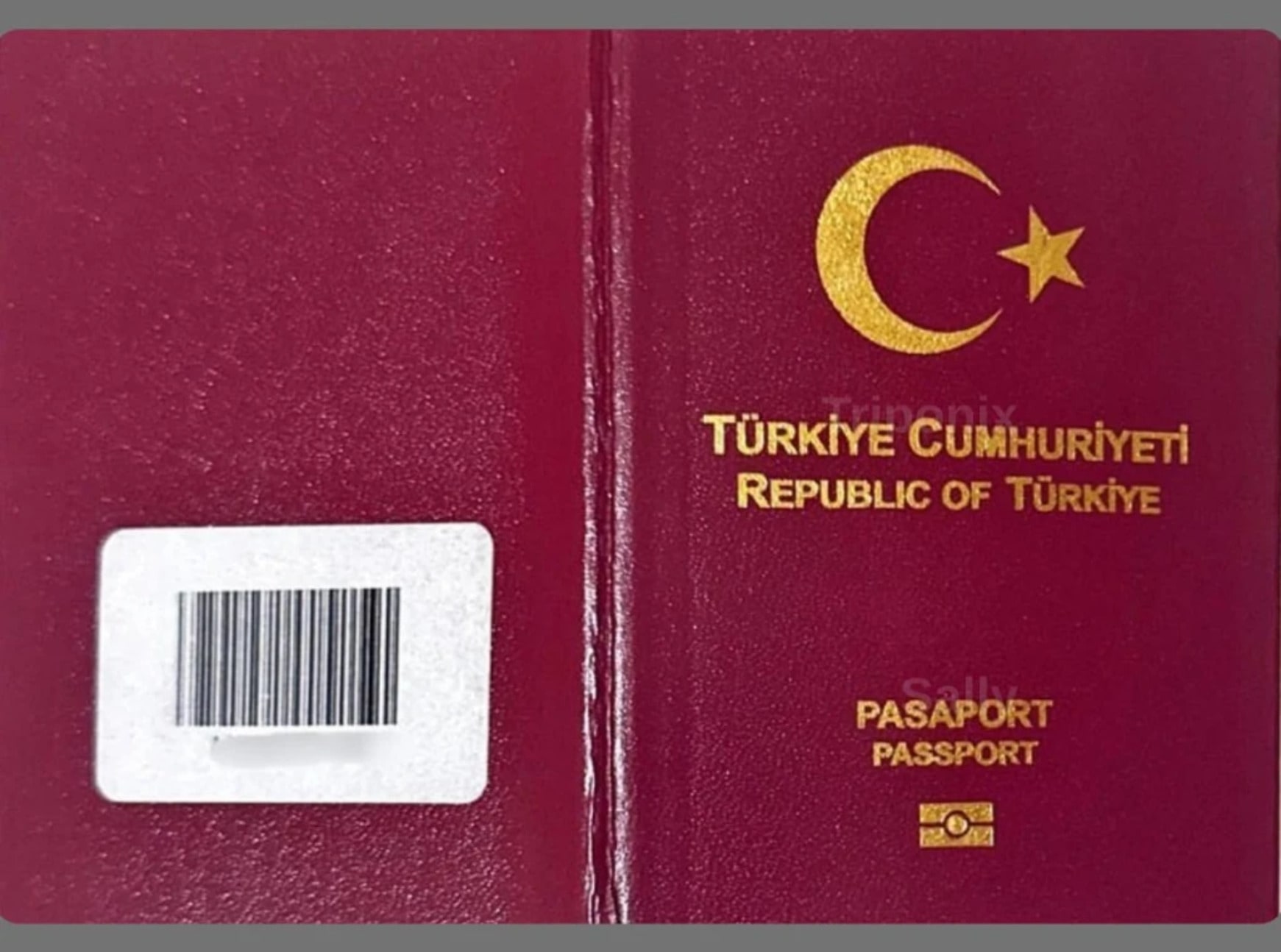 Passport Cover (Back / Front Cover)